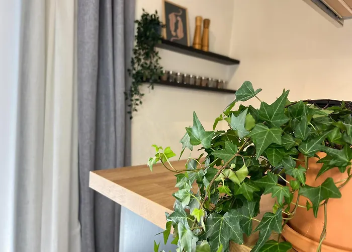 Διαμέρισμα Spacious, Near & Easy Parking - By Solstad *